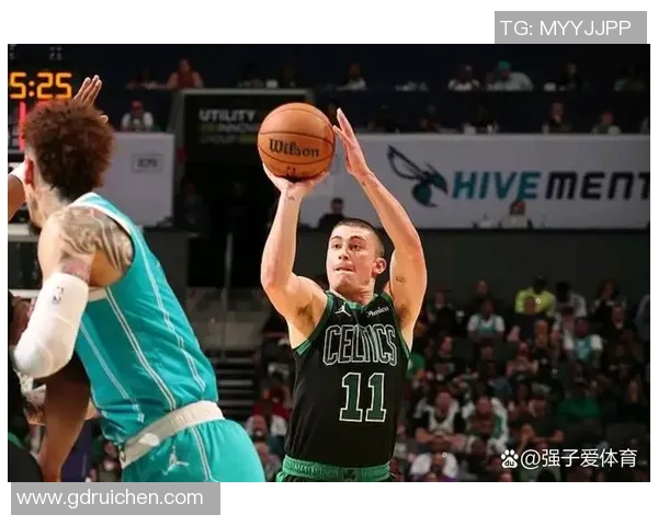 黄蜂与凯尔特人对决分析:战术布局与球员表现全面解读